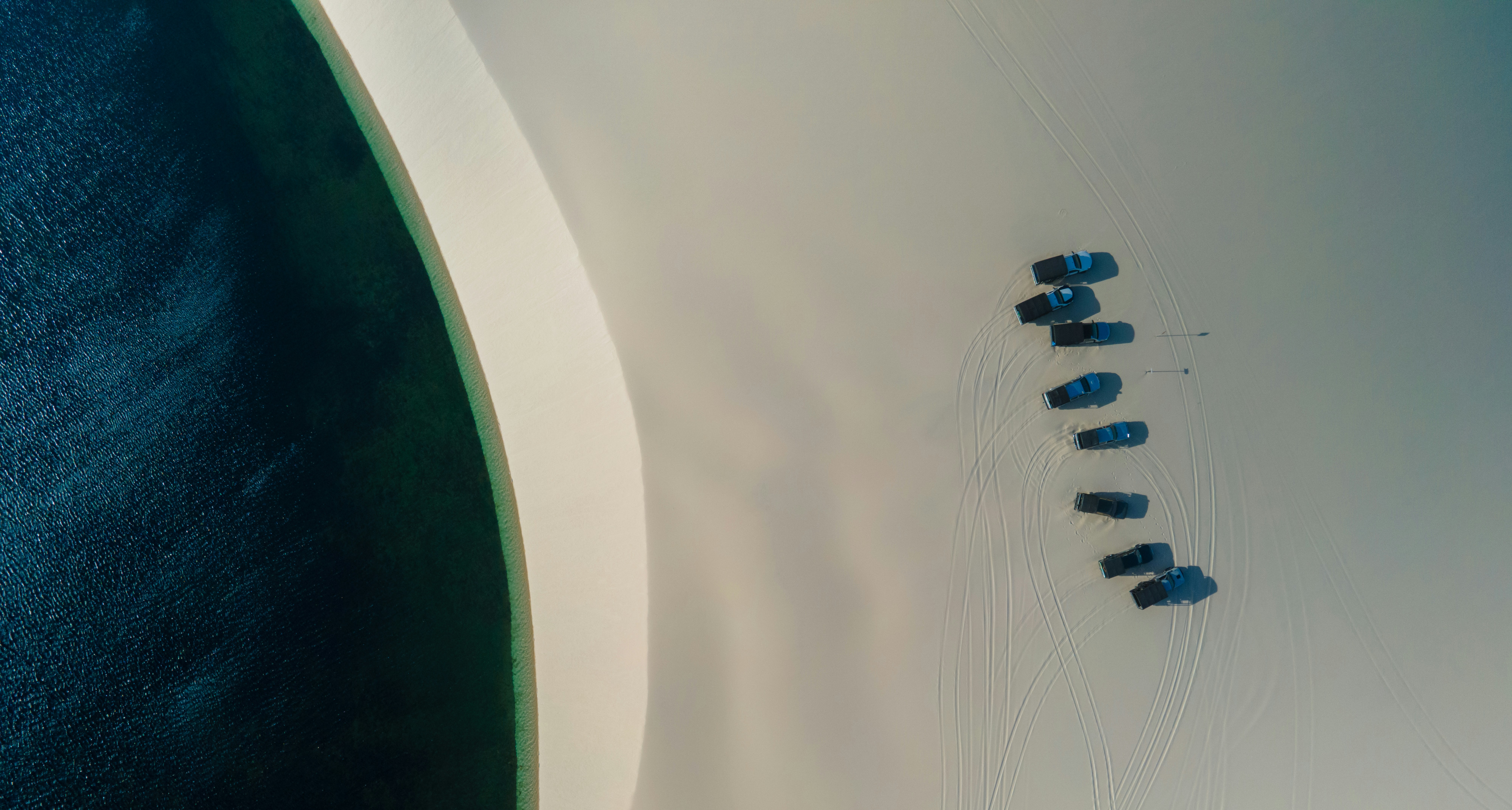 a group of people parachuting