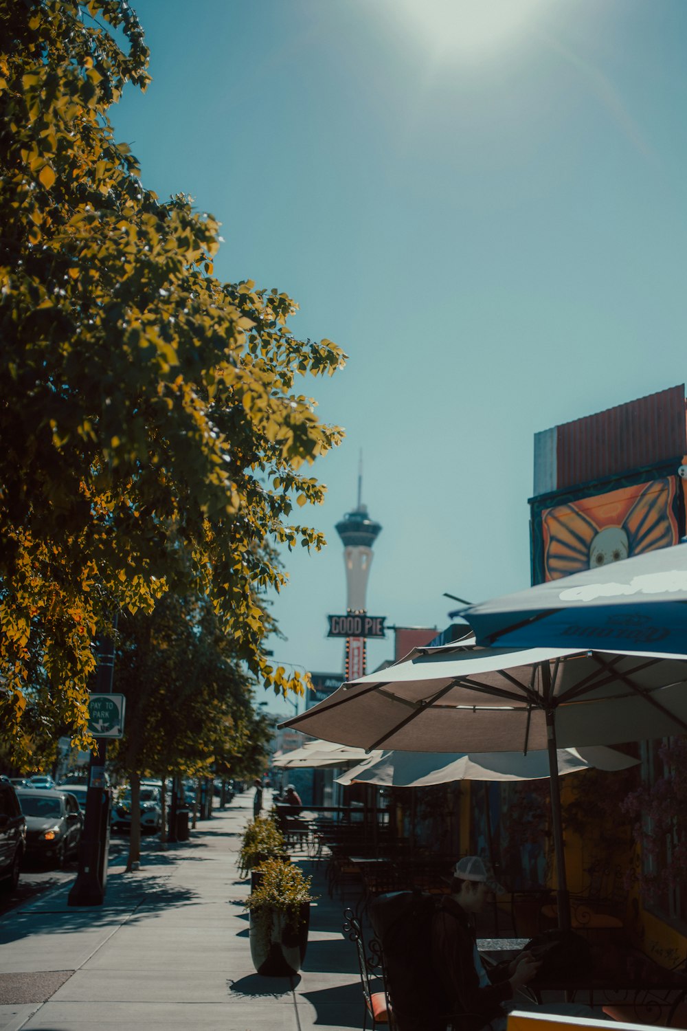 a sidewalk with umbrellas and a tree with a tower in the background