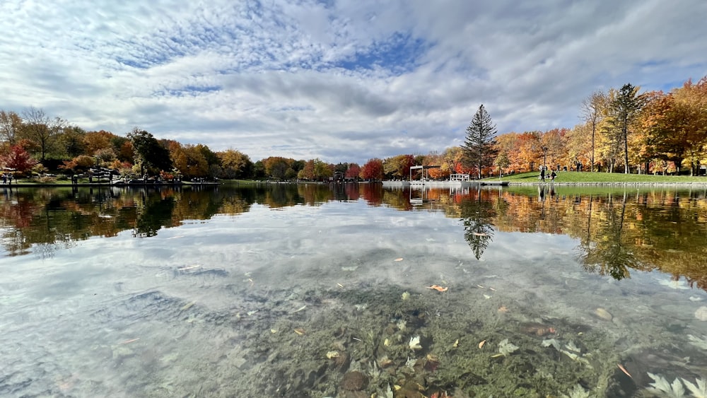 a body of water with trees around it