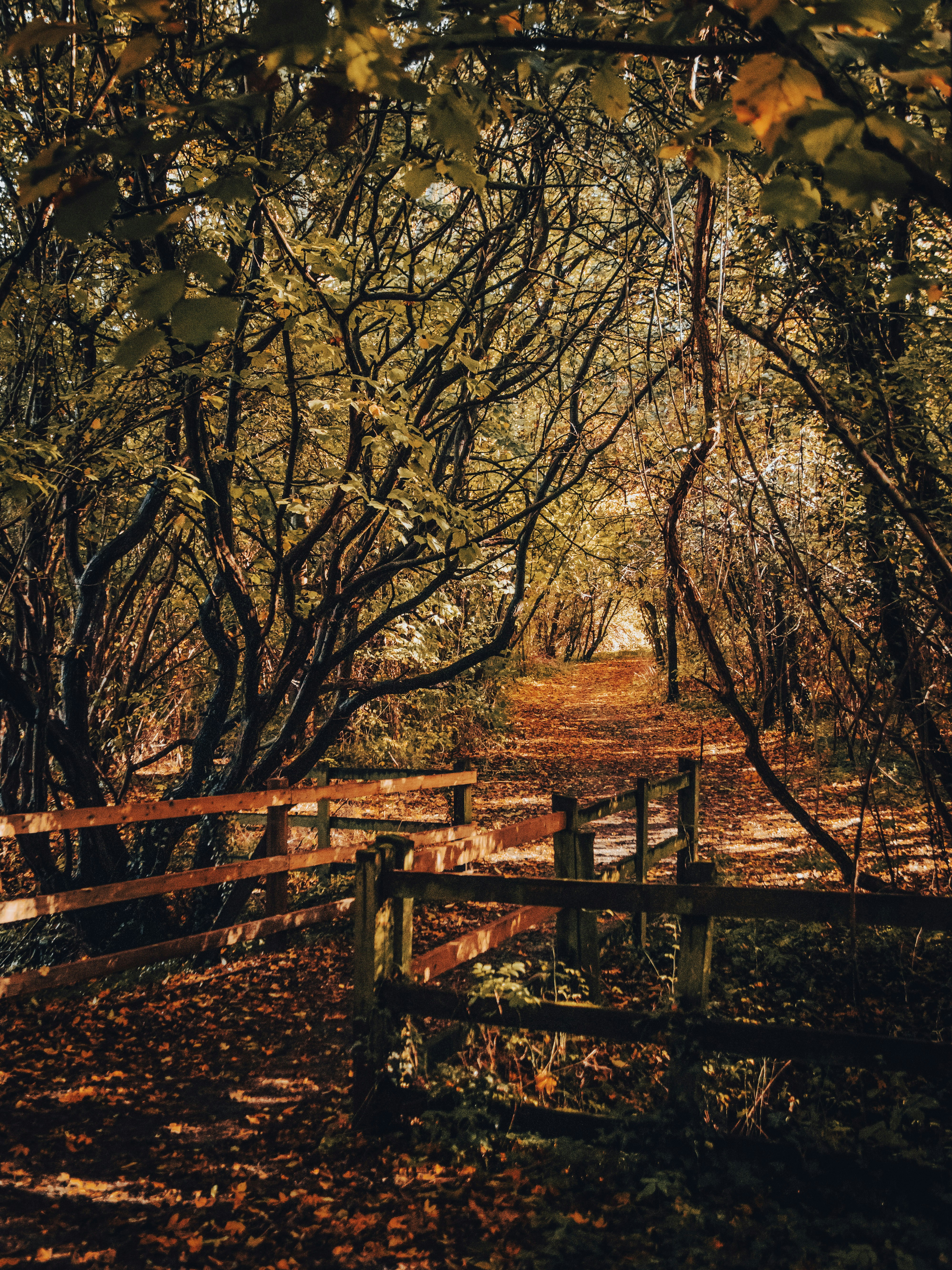 Photo by damiankarpinski_photo