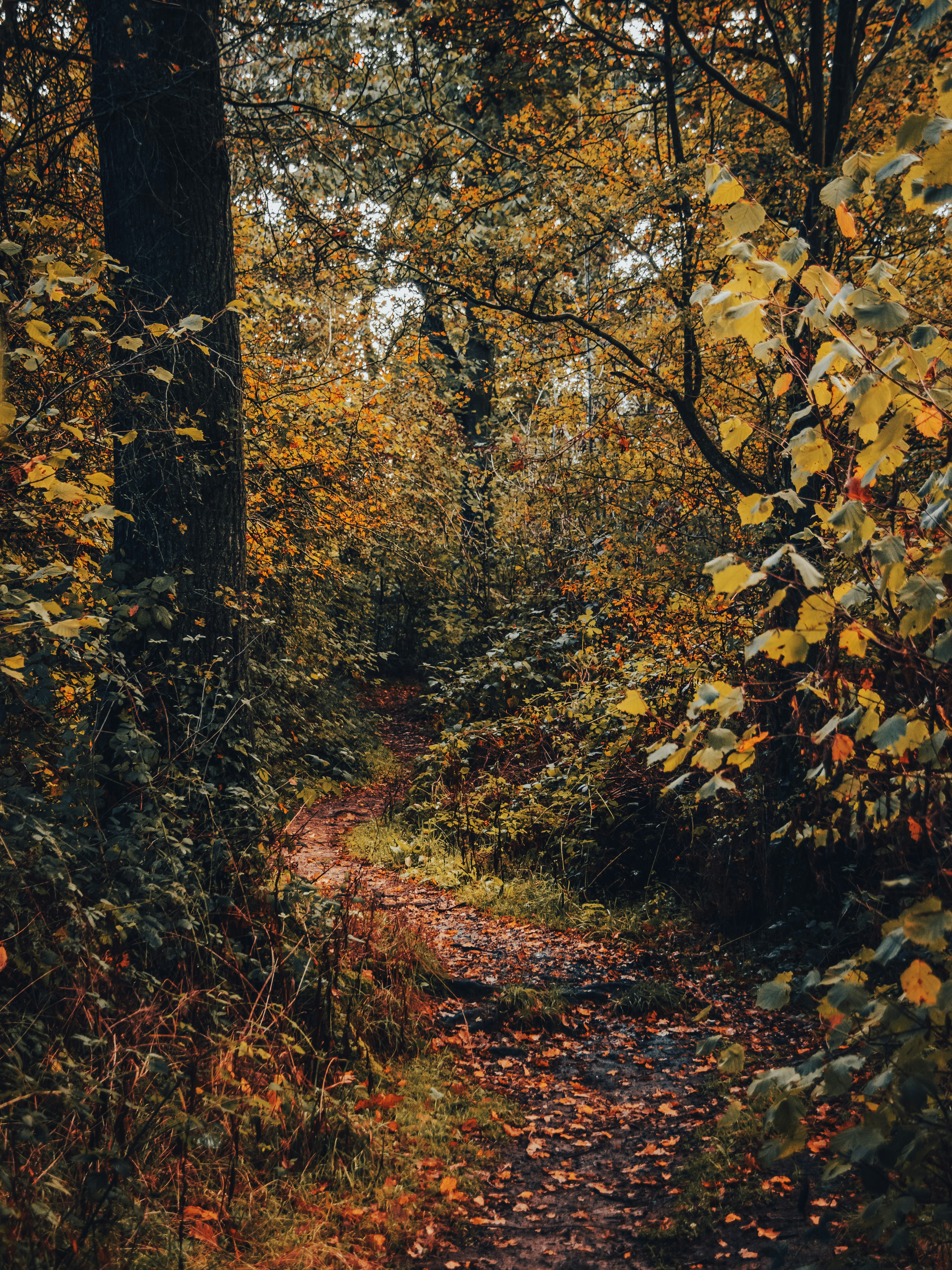 Photo by damiankarpinski_photo