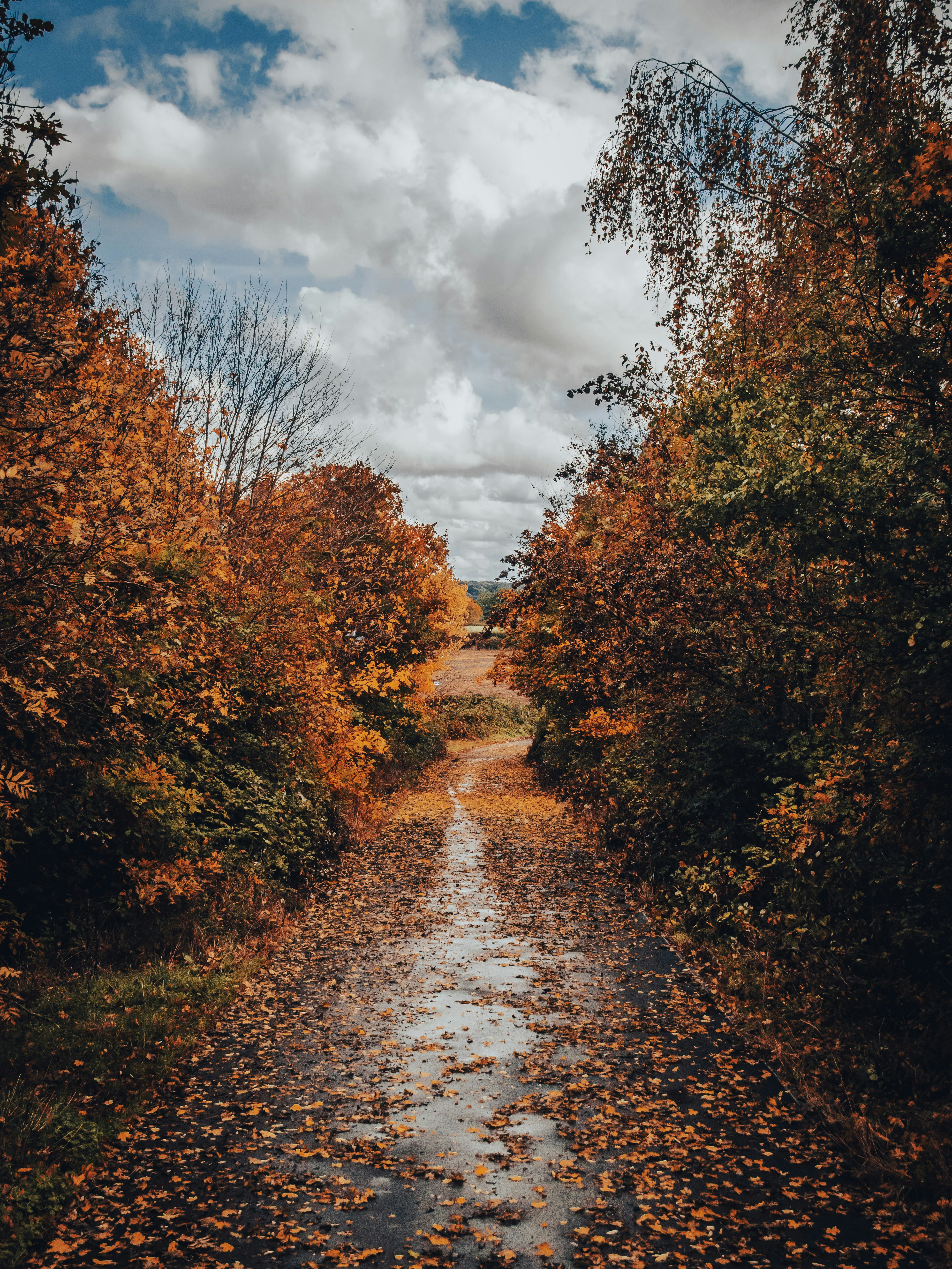 Photo by damiankarpinski_photo