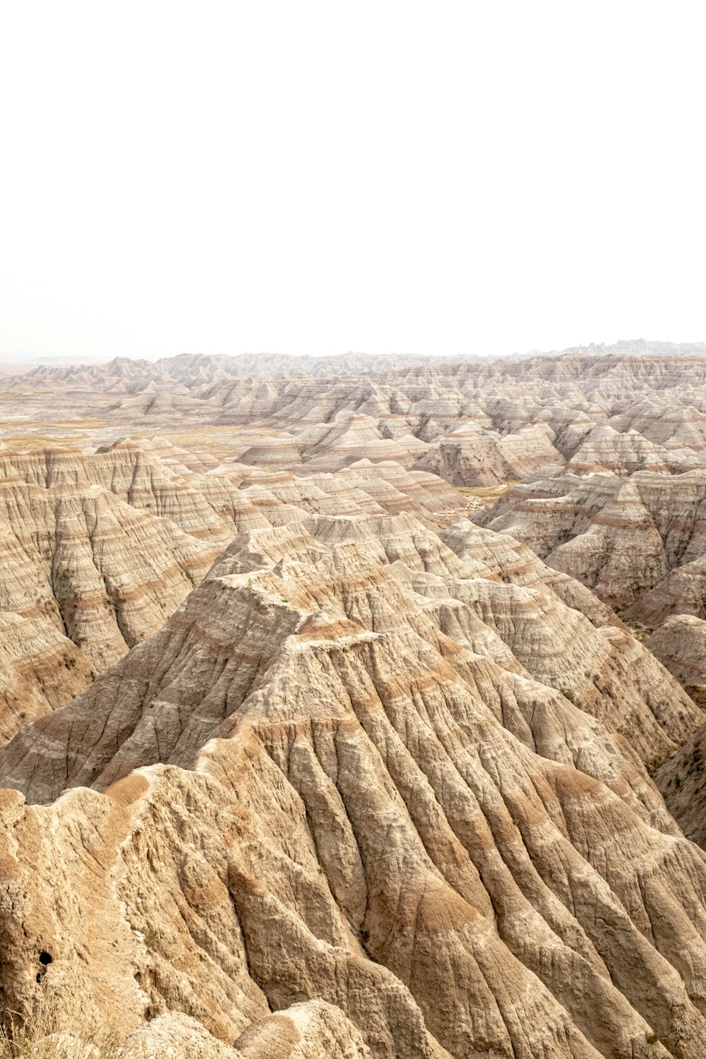 a rocky canyon with a few trees with Badlands National Park in the background