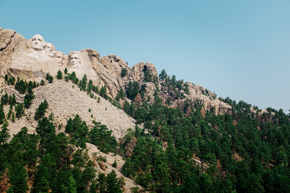 una montagna rocciosa con alberi