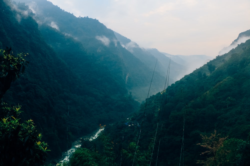 un río que atraviesa un valle