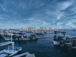 boats in the water