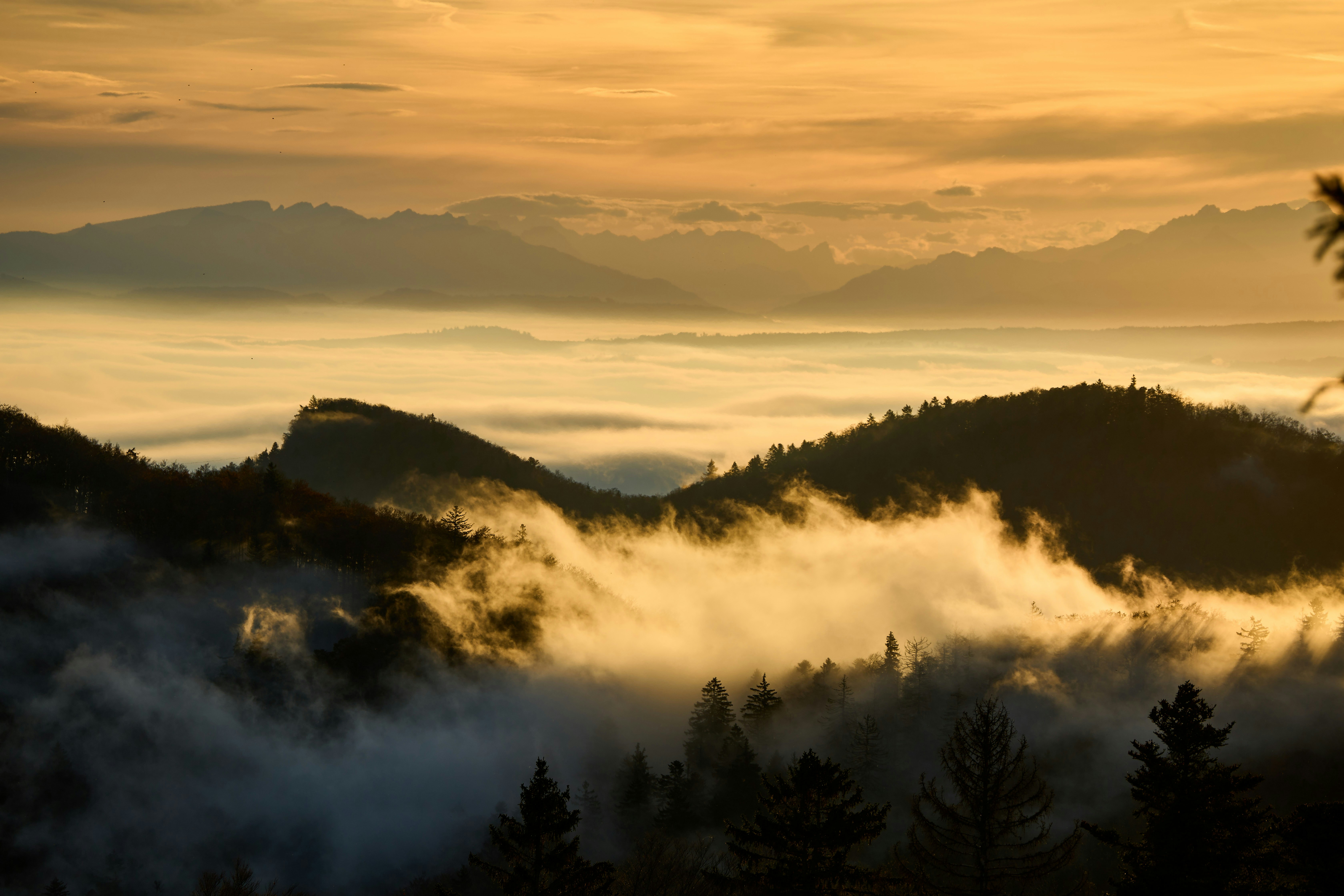 Where do diamonds come from?