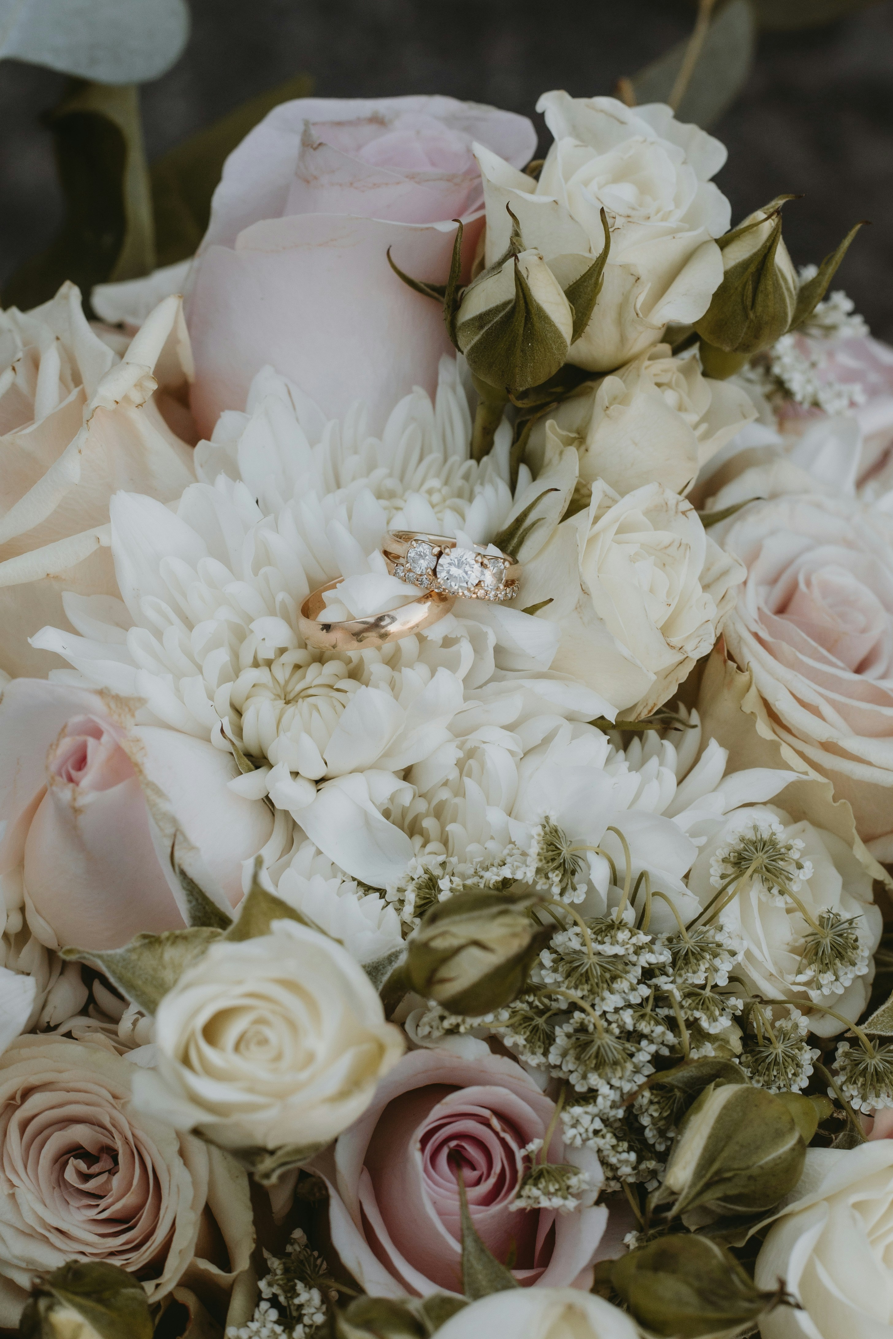 ein Strauß weißer Rosen