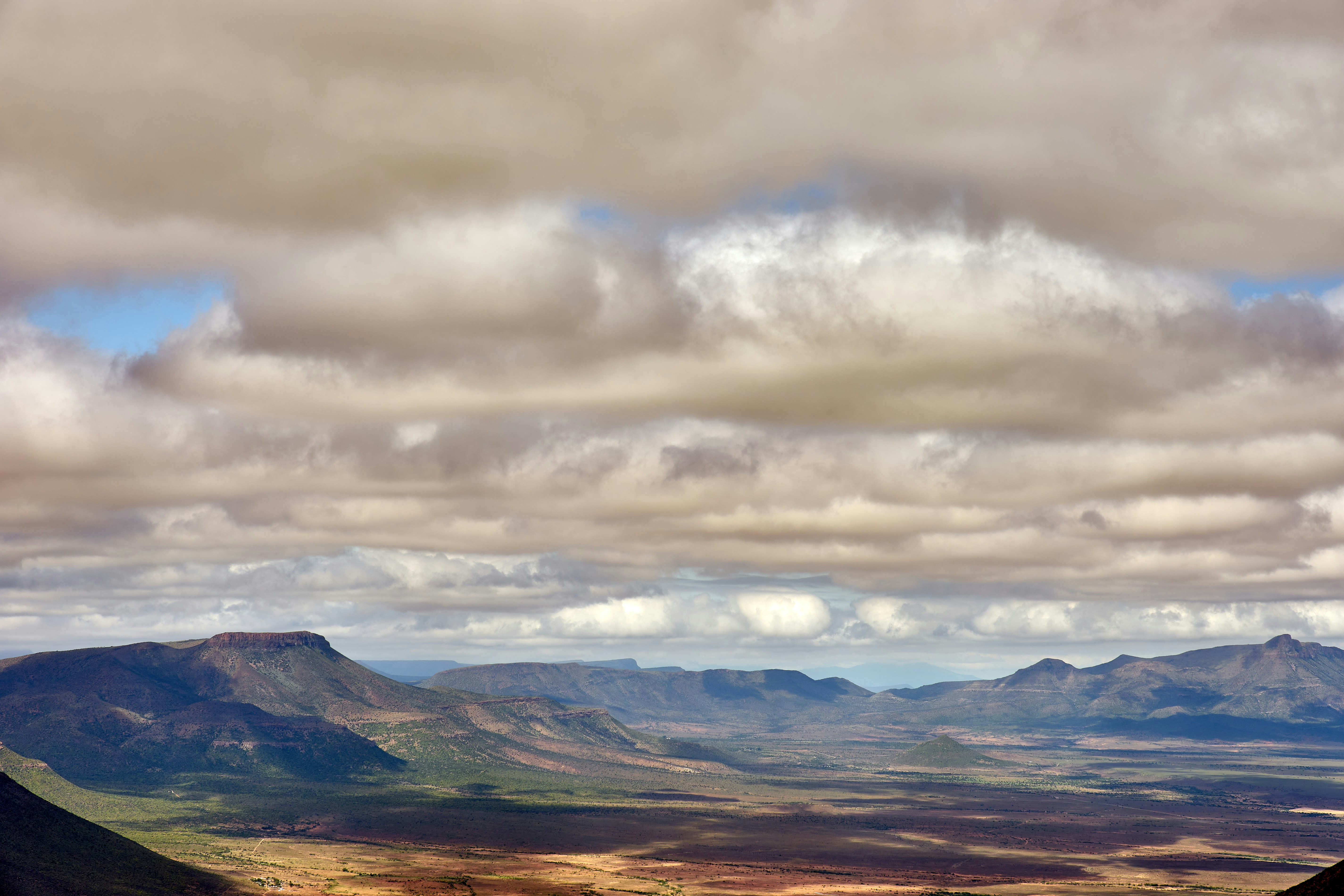 Photo by wolfgang_hasselmann