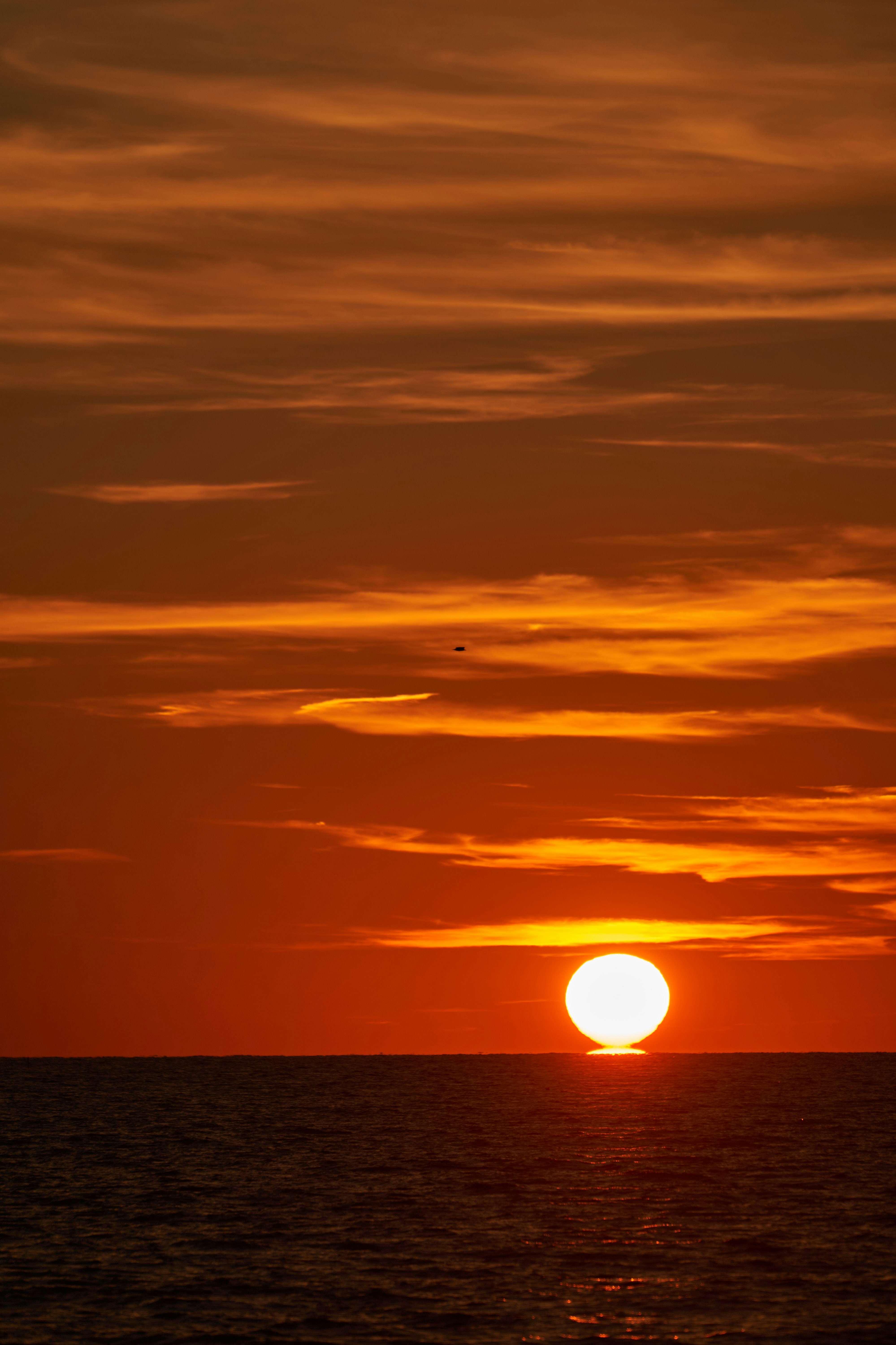 Photo by wolfgang_hasselmann