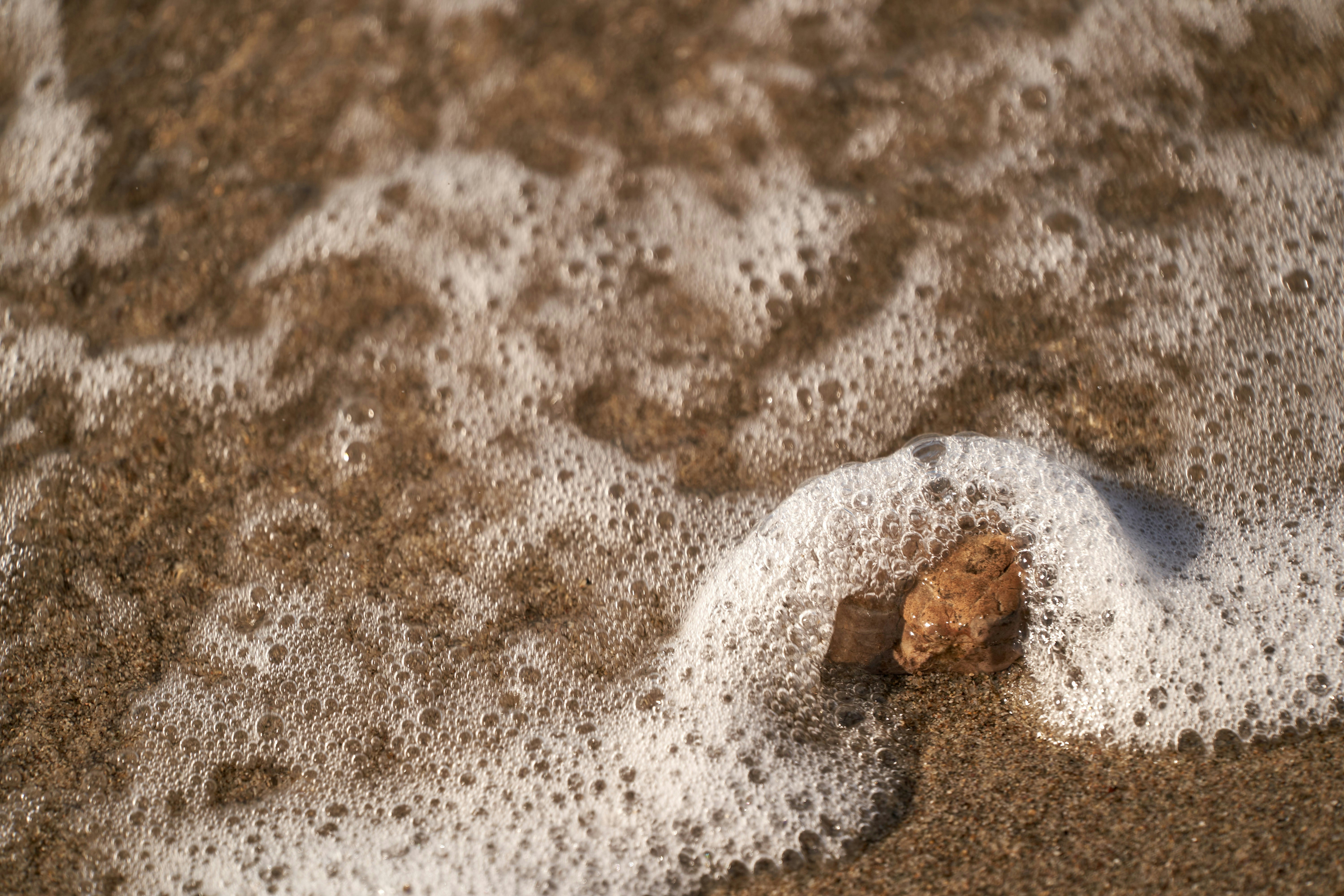 Photo by wolfgang_hasselmann