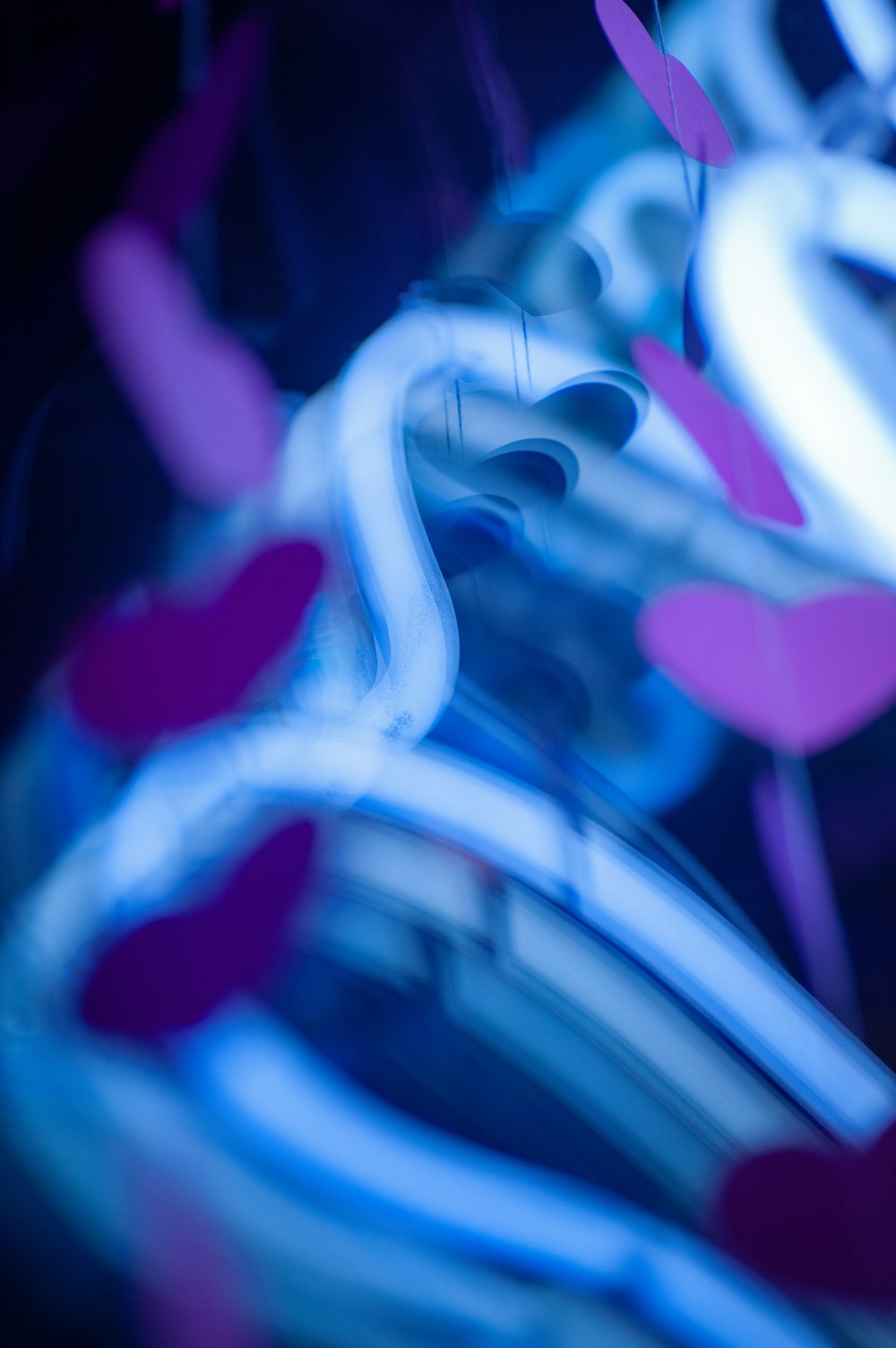 a close up of a blue and pink flower