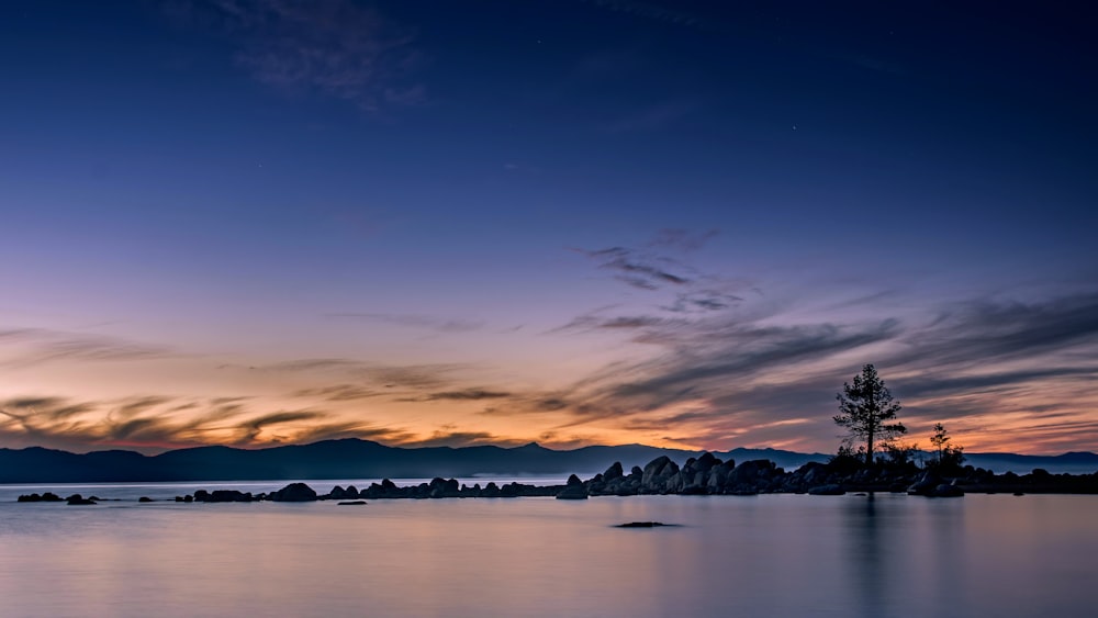 a body of water with a tree and a sunset in the background