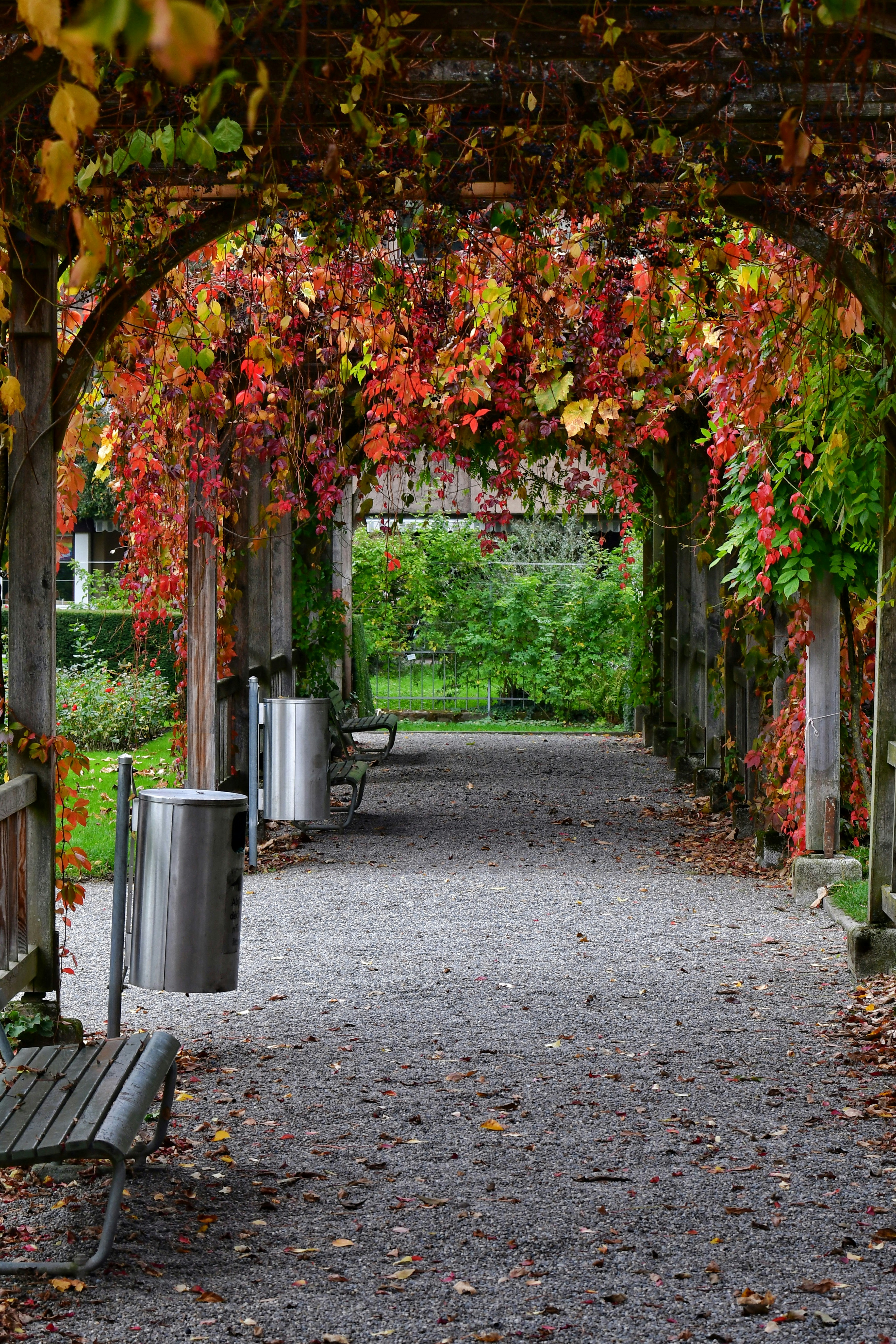 Photo by pedrino5_official