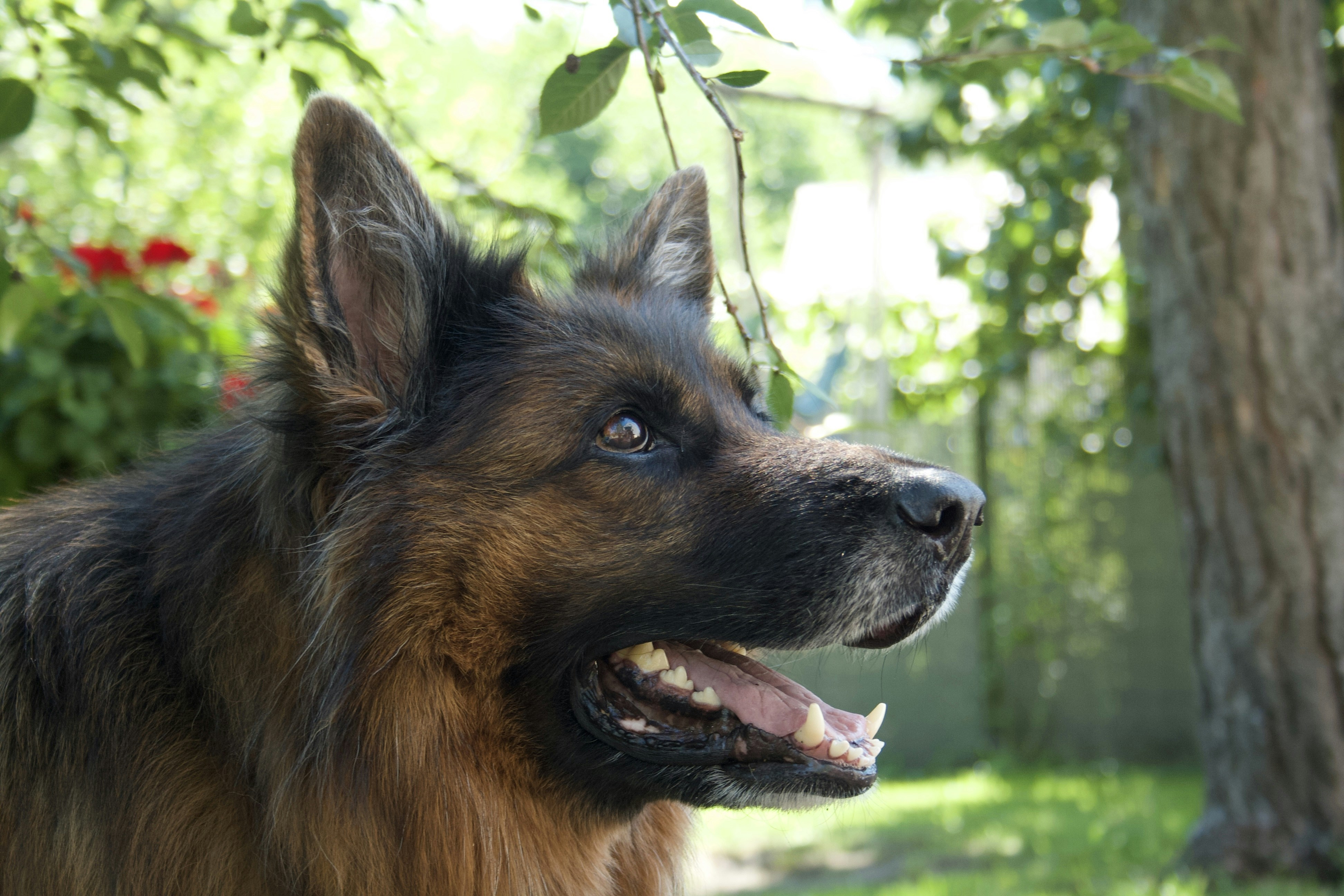 Photo by antek_photography_poland