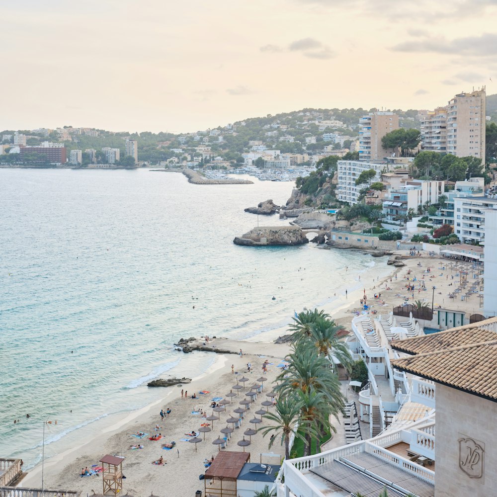 a beach with buildings and trees