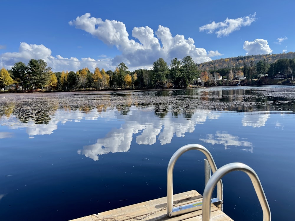 a body of water with trees and a railing around it