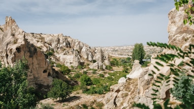 a rocky cliff with trees
