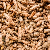 a pile of brown and white nuts