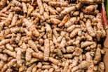 a pile of brown and white nuts