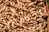 a pile of brown and white nuts