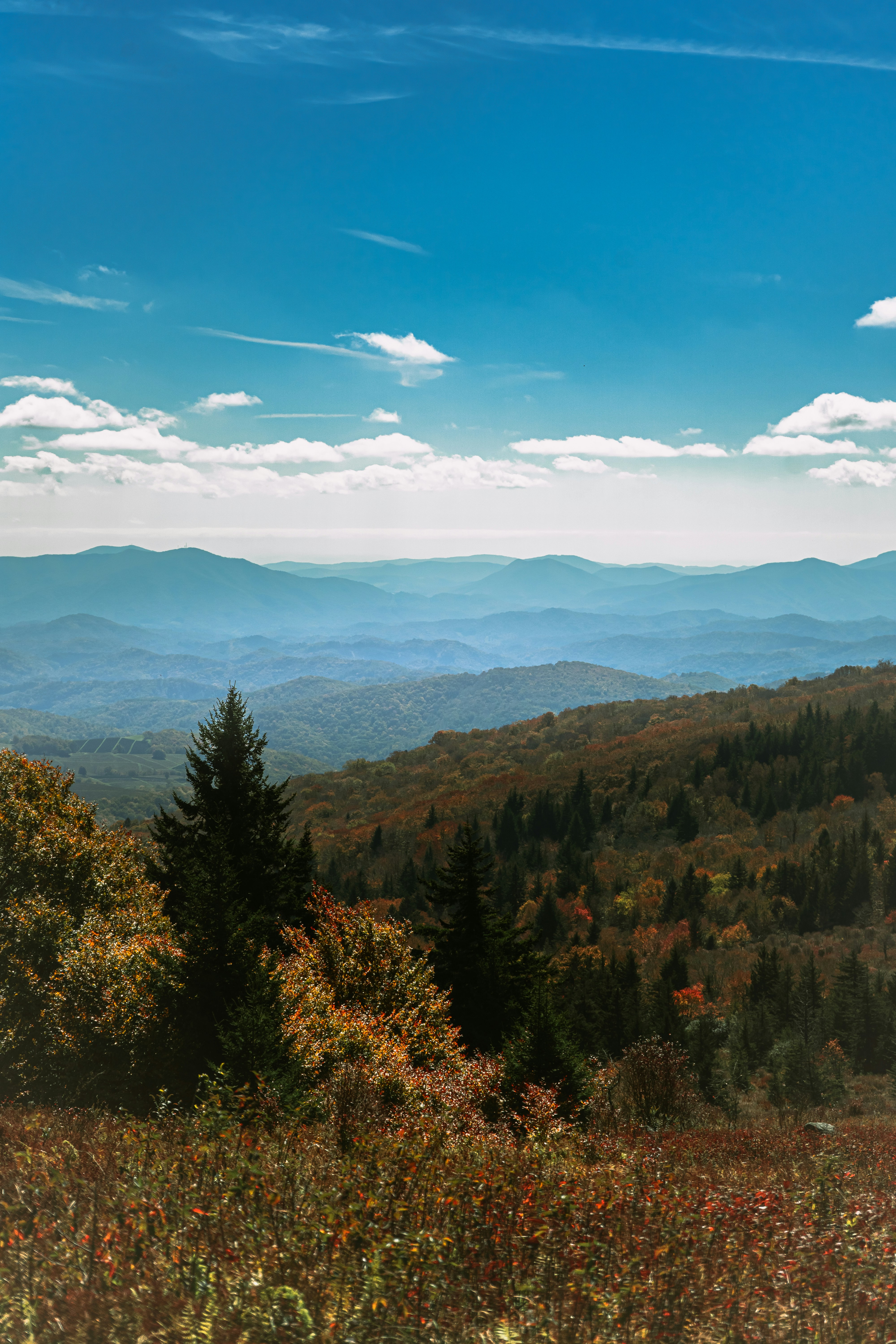 Photo by dylan_michaud