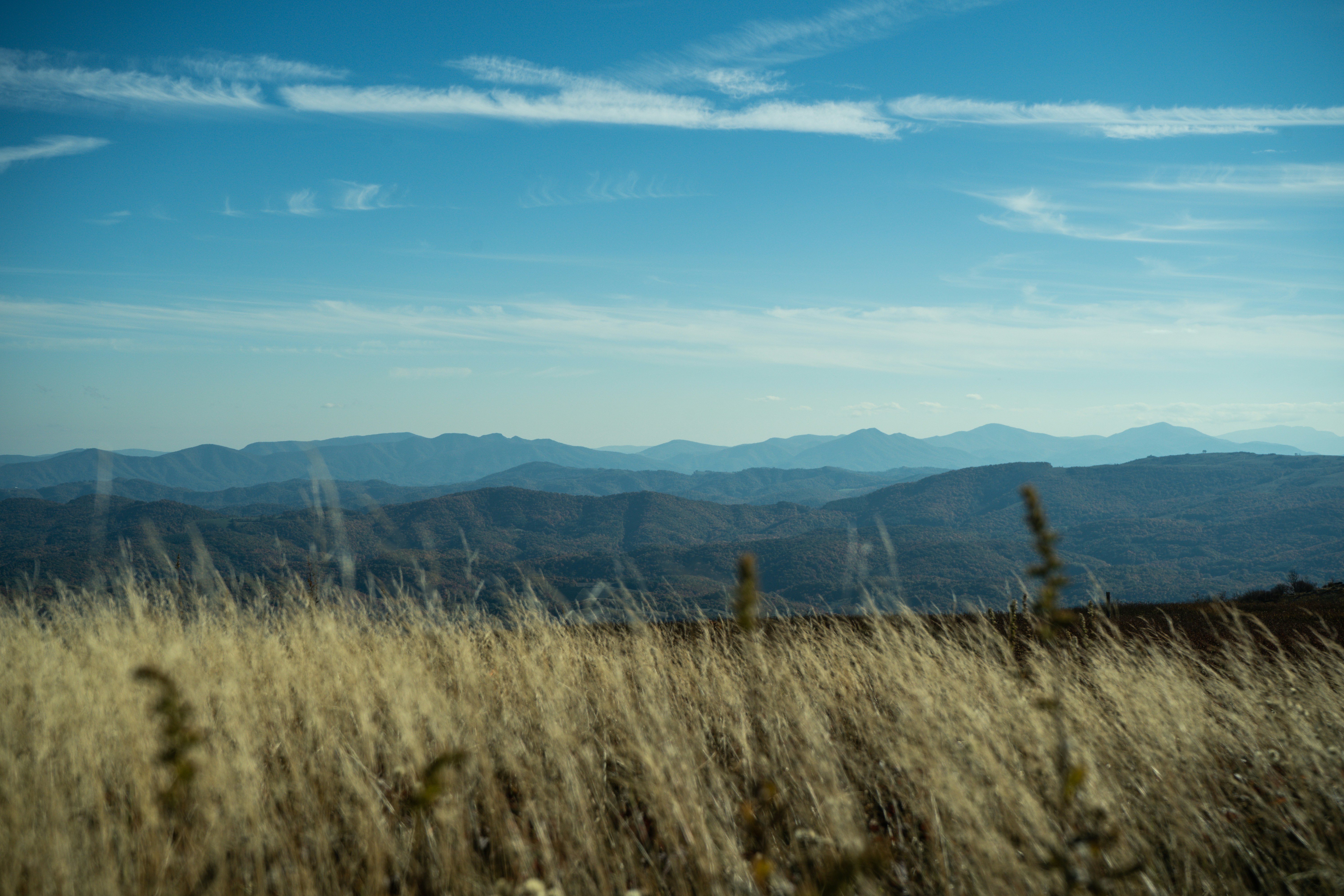 Photo by dylan_michaud