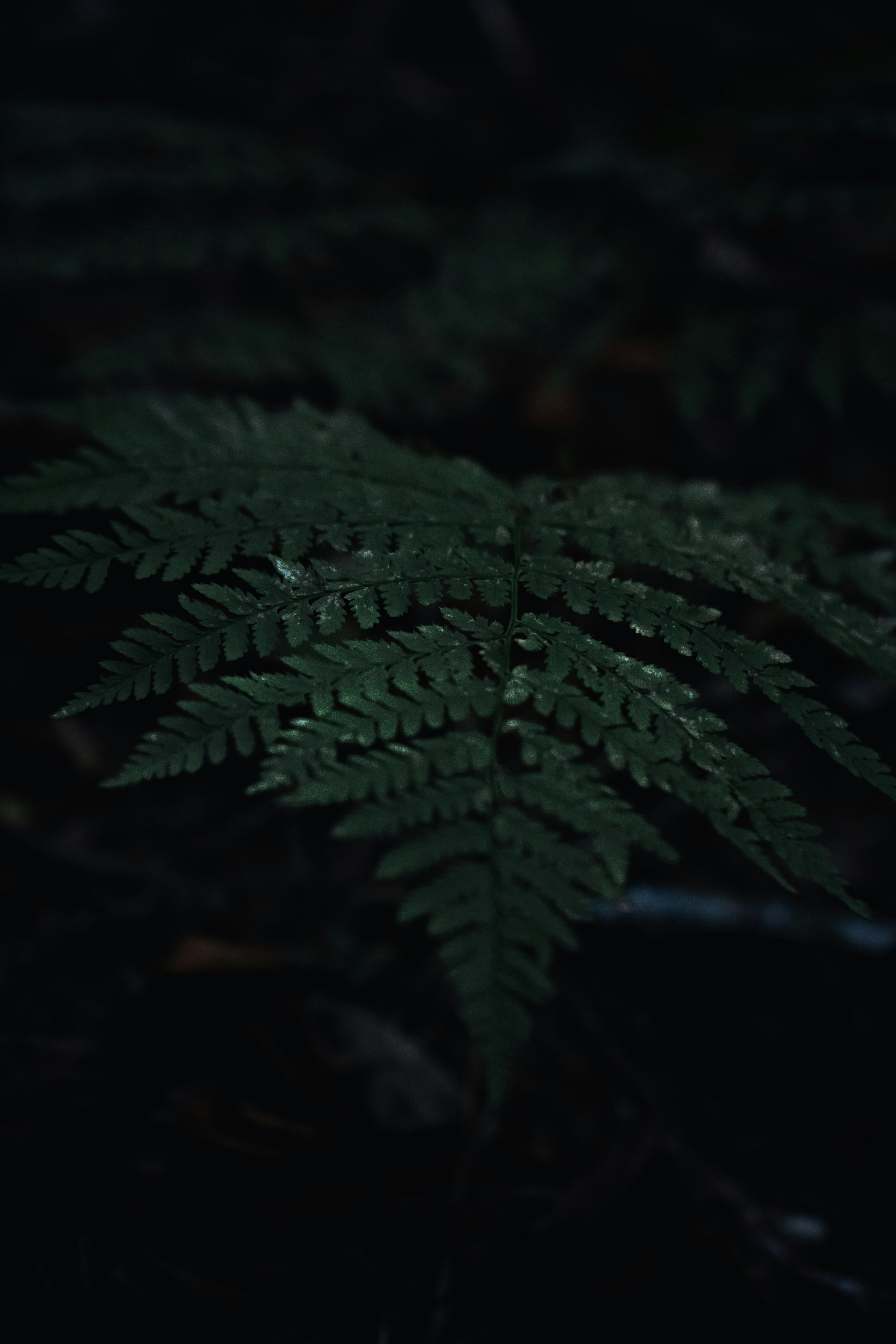 Photo by dylan_michaud