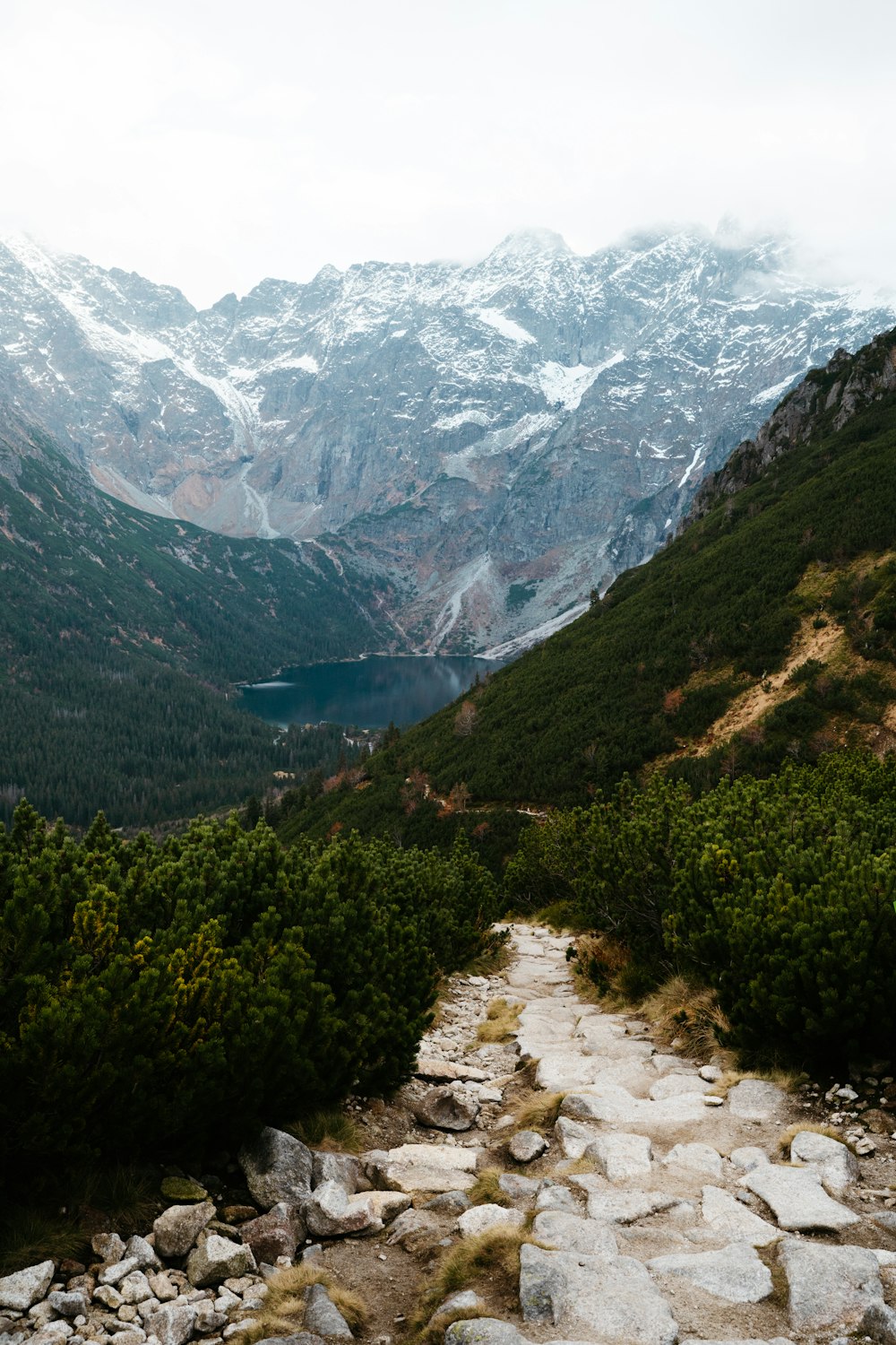 a river running through a valley between mountains