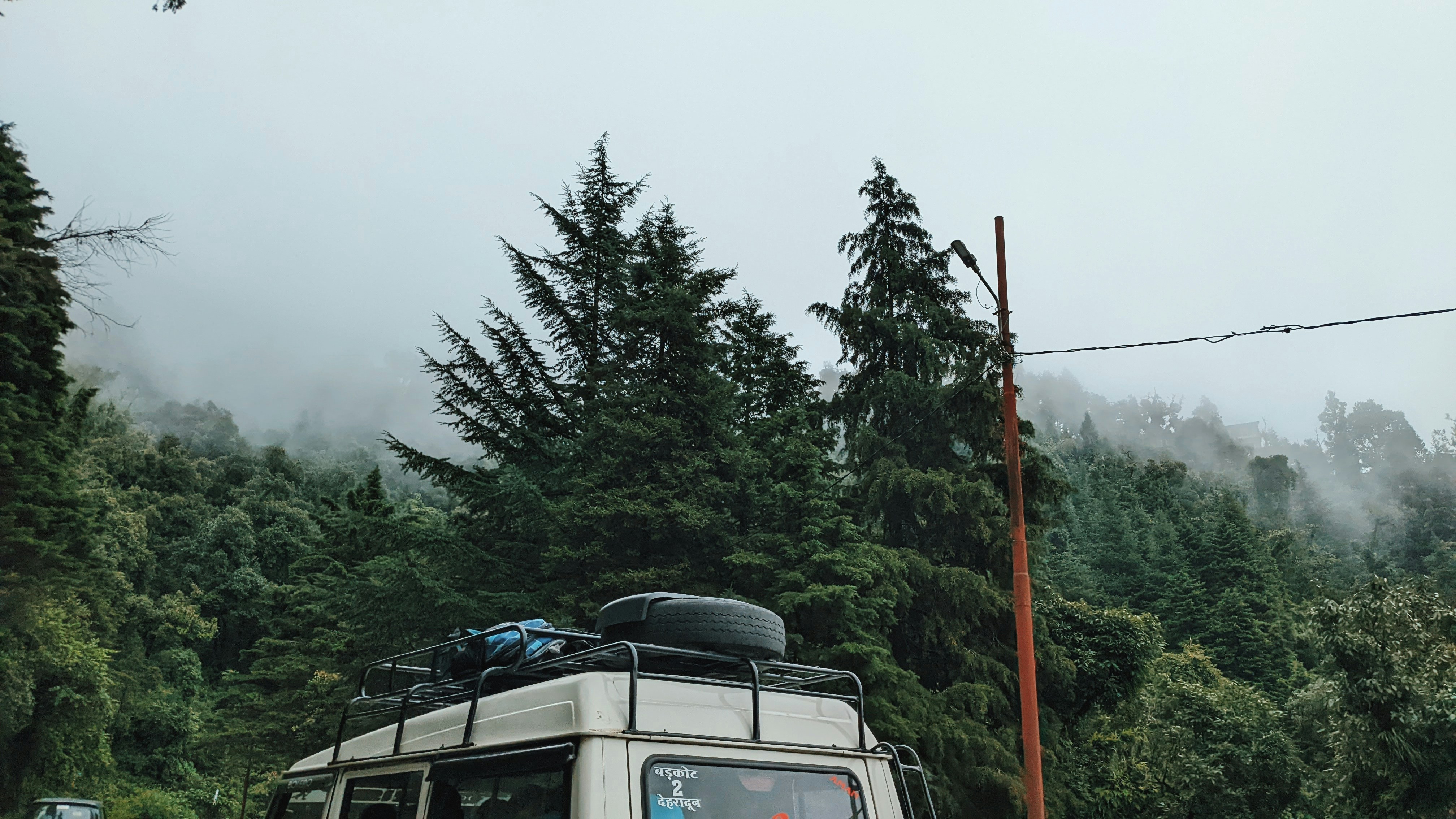 Portable solar panel on a van rooftop in a pine forest, overcast sky, deep green canopy, moody natural light