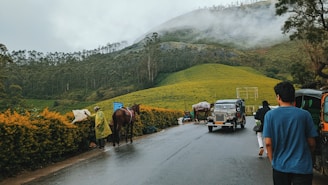 a group of people walking down a road with horses and cars