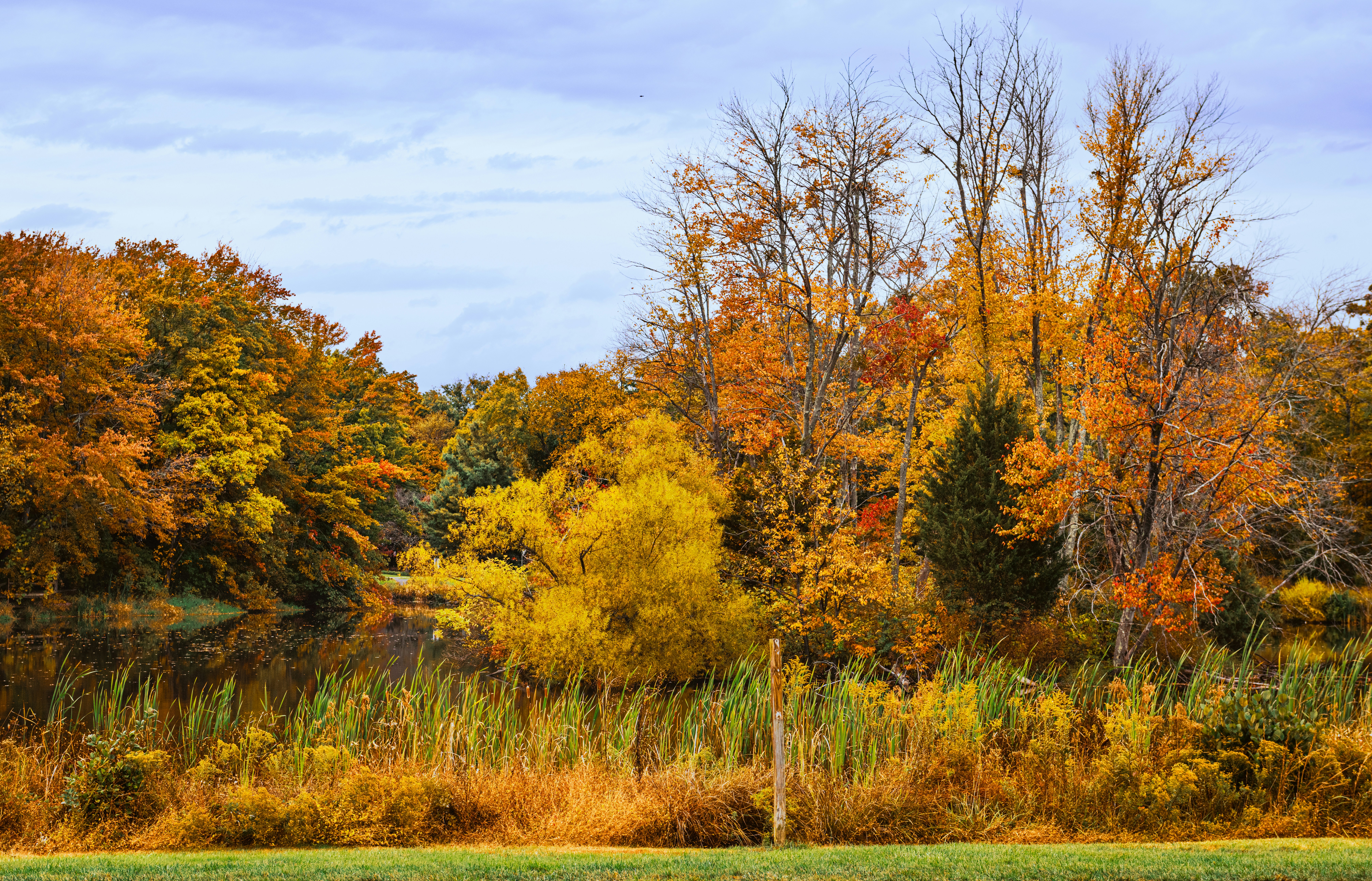 Photo by sriniunsplash