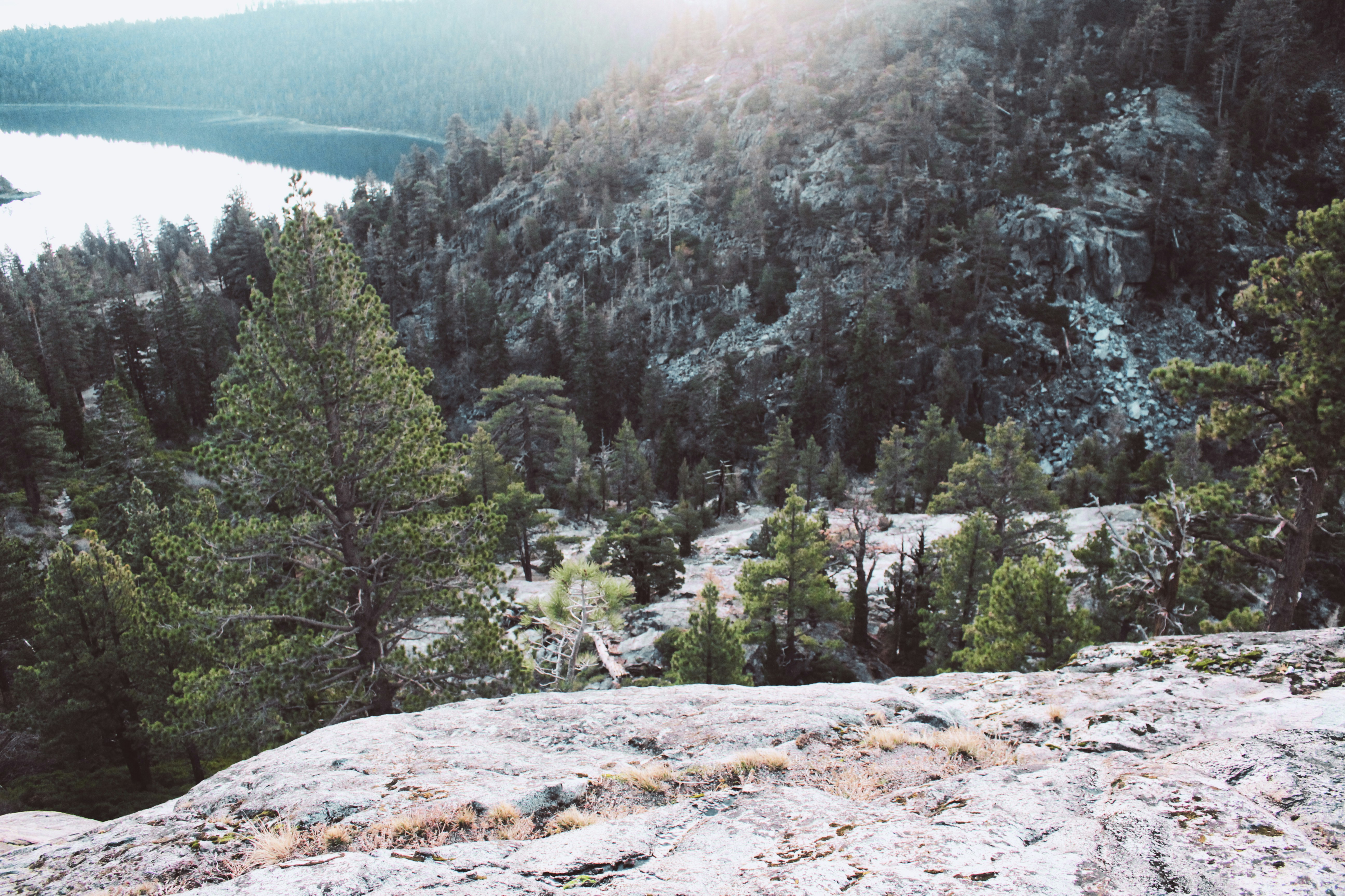 Photo by elijahaustin