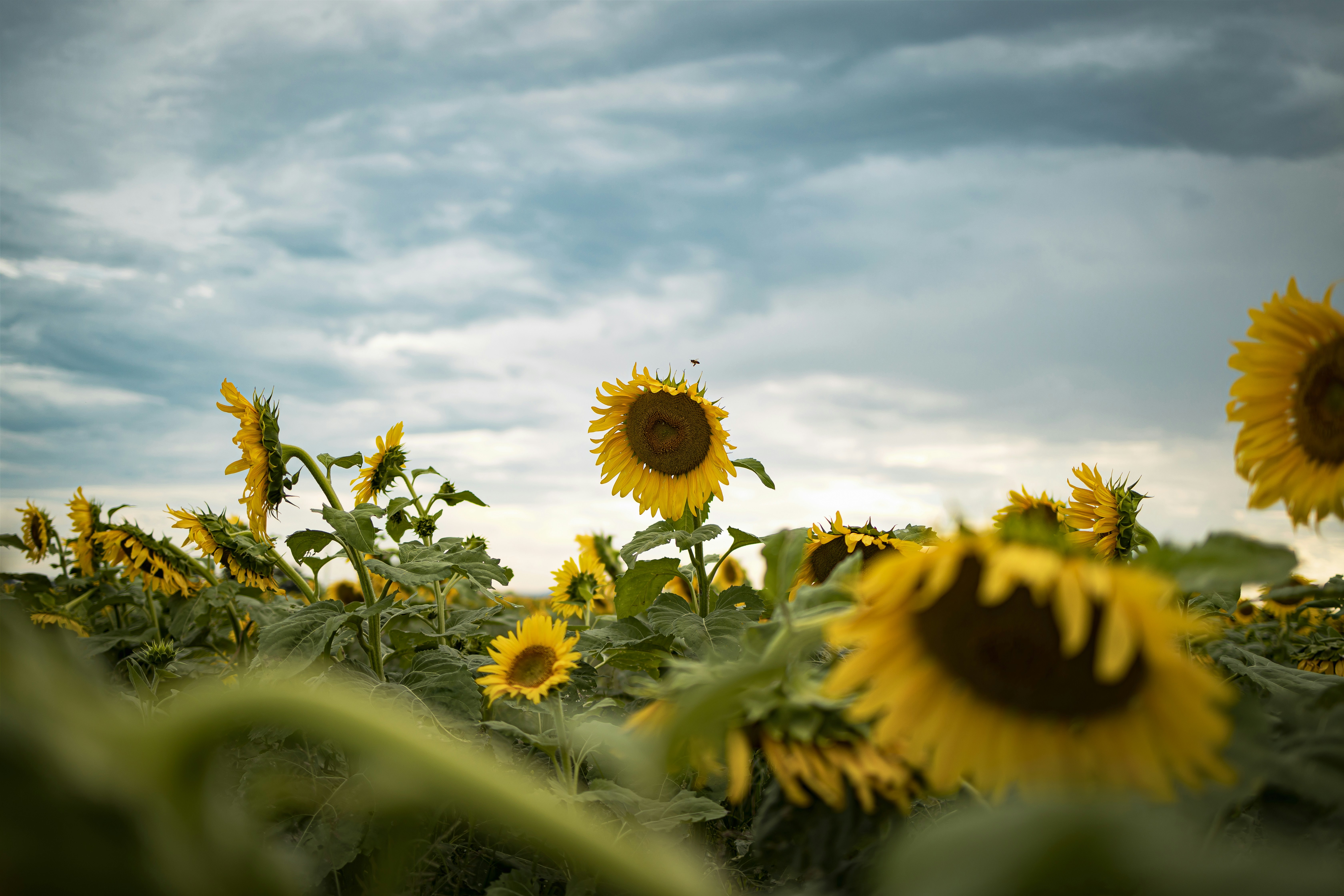 Photo by rennielachlan