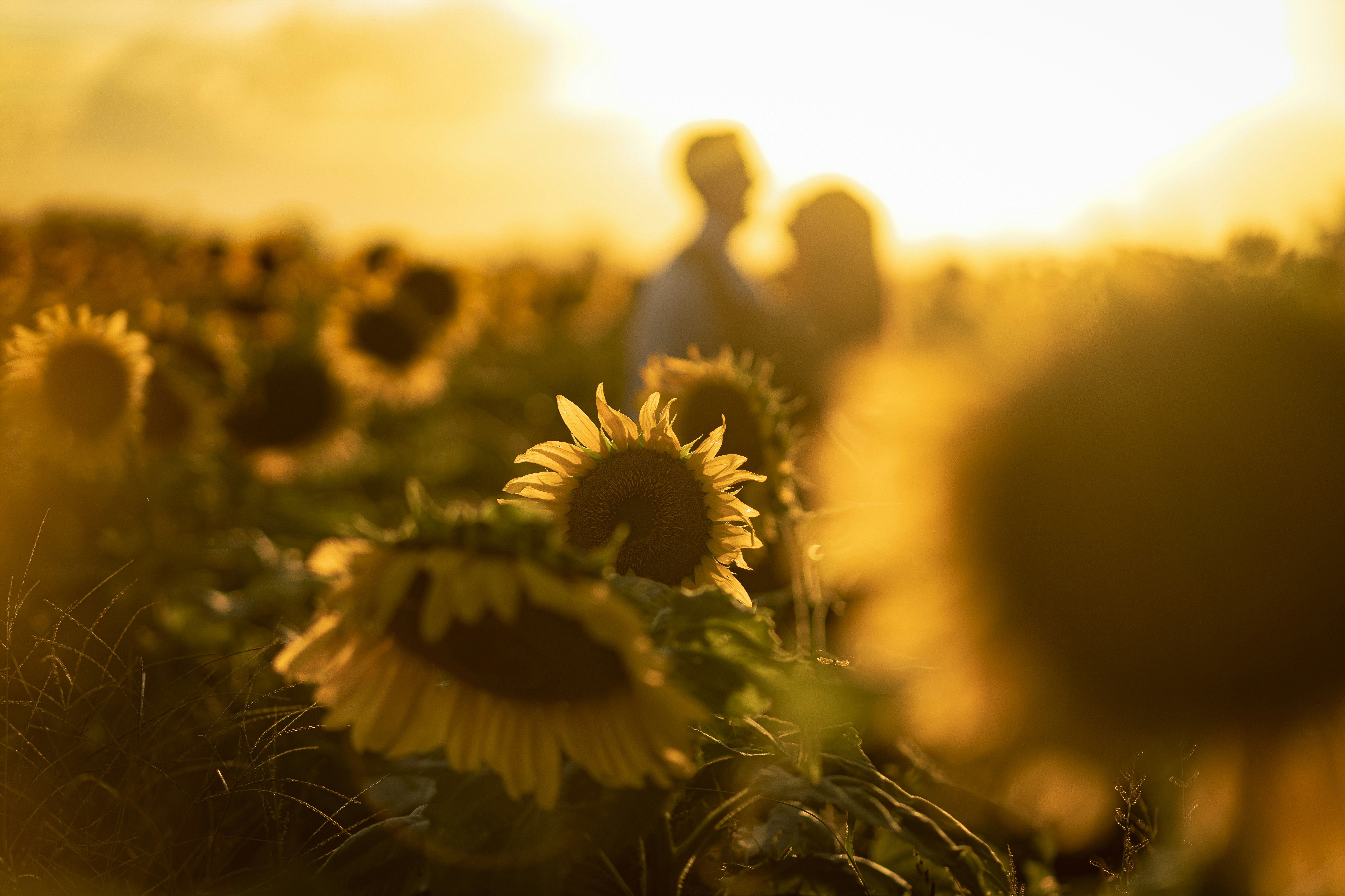 Photo by rennielachlan