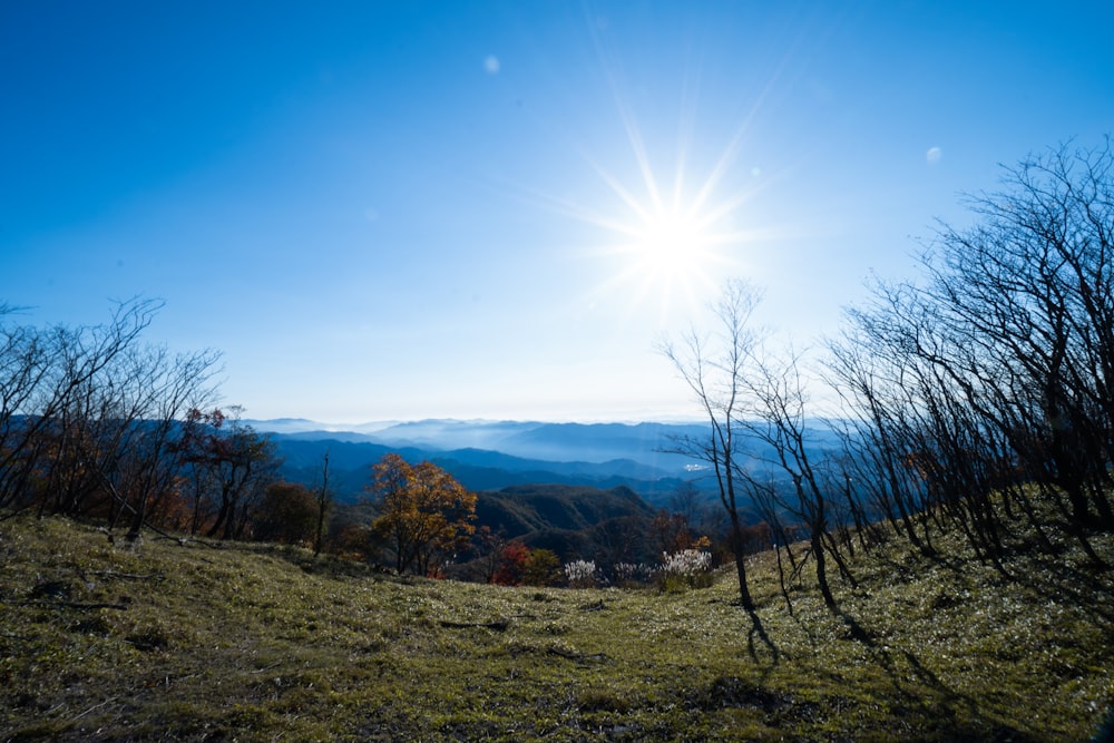 uma colina gramada com árvores e montanhas ao fundo