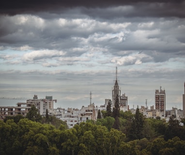 a city with trees and buildings