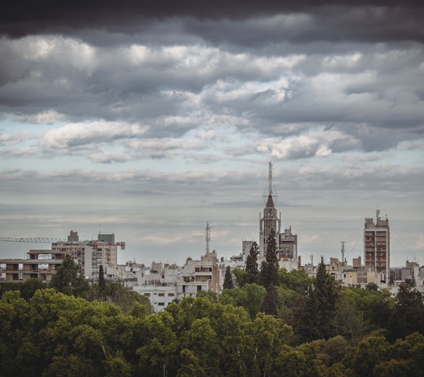 a city with trees and buildings