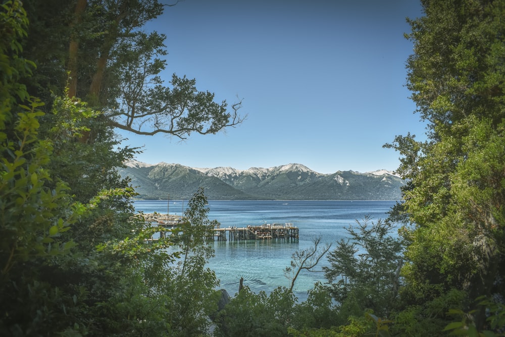 a body of water with trees around it and mountains in the background