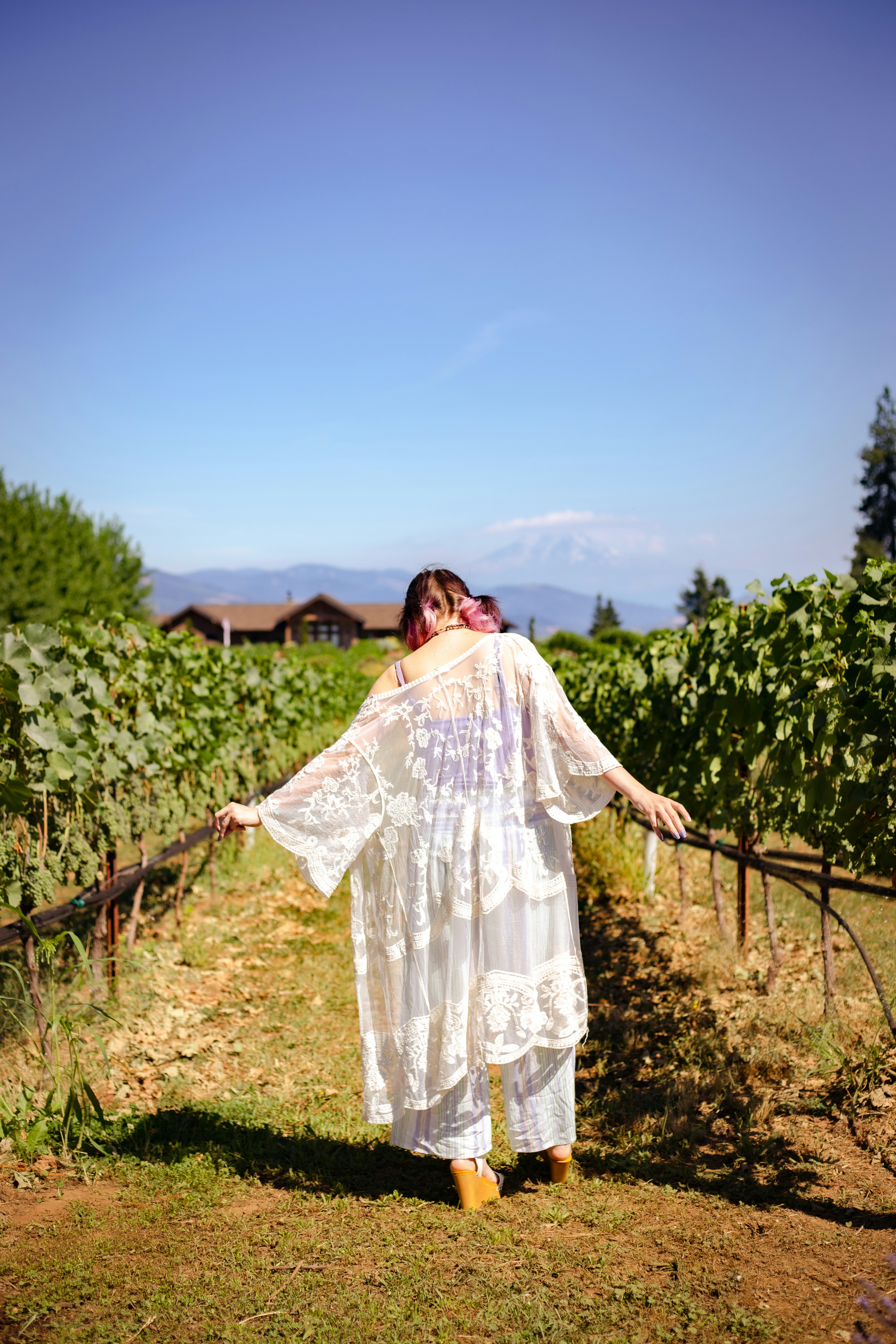 a person in a white dress in a vineyard