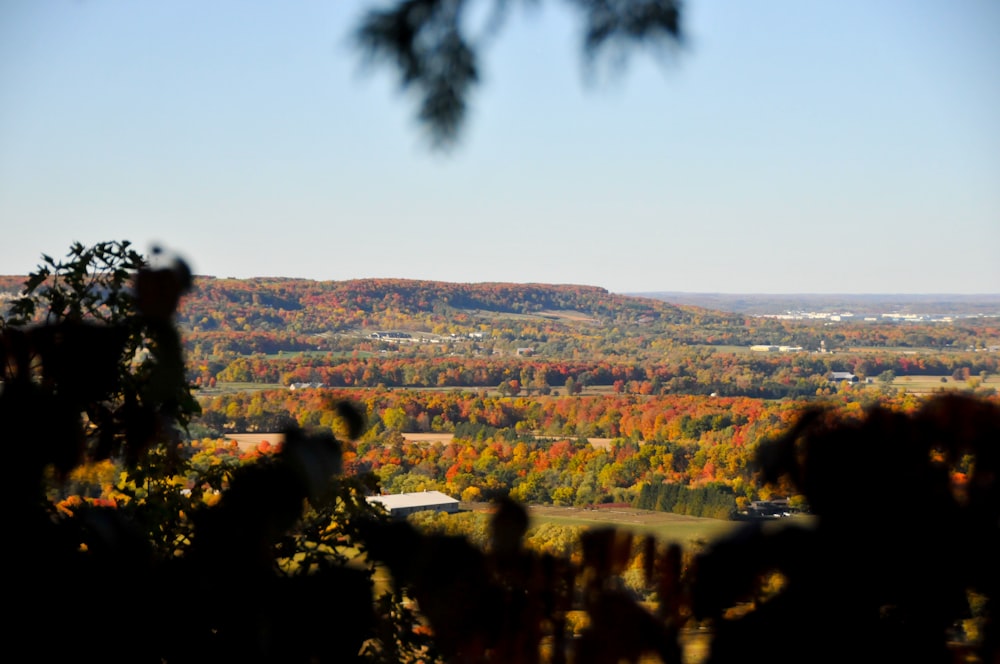 a view of a city from a hill