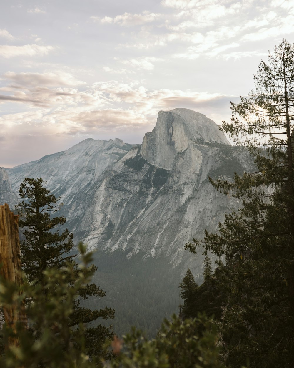 a mountain with trees in front of it