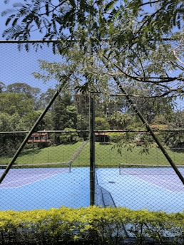 A view of a tennis court with a blue playing surface surrounded by a chain-link fence. Overhanging branches with green leaves partially obscure the view. In the background, a lush green lawn and trees create a serene natural setting.