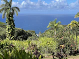 A scenic view of a green plot of land surrounded by tropical vegetation in Trat.