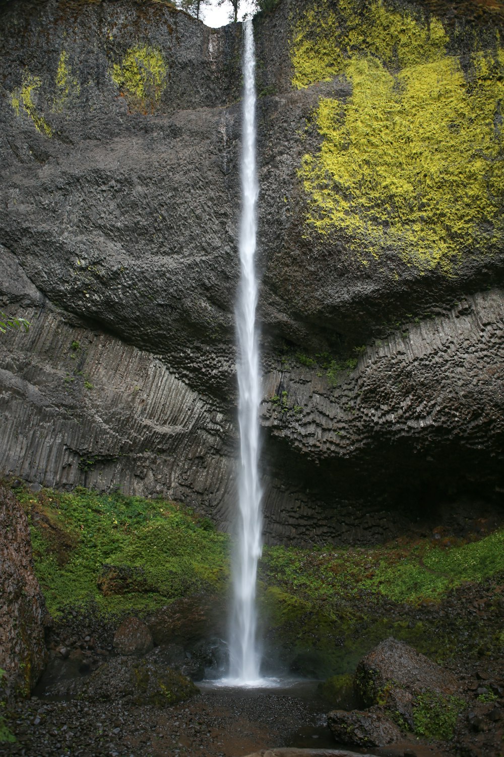 Silver Falls State Park in a forest