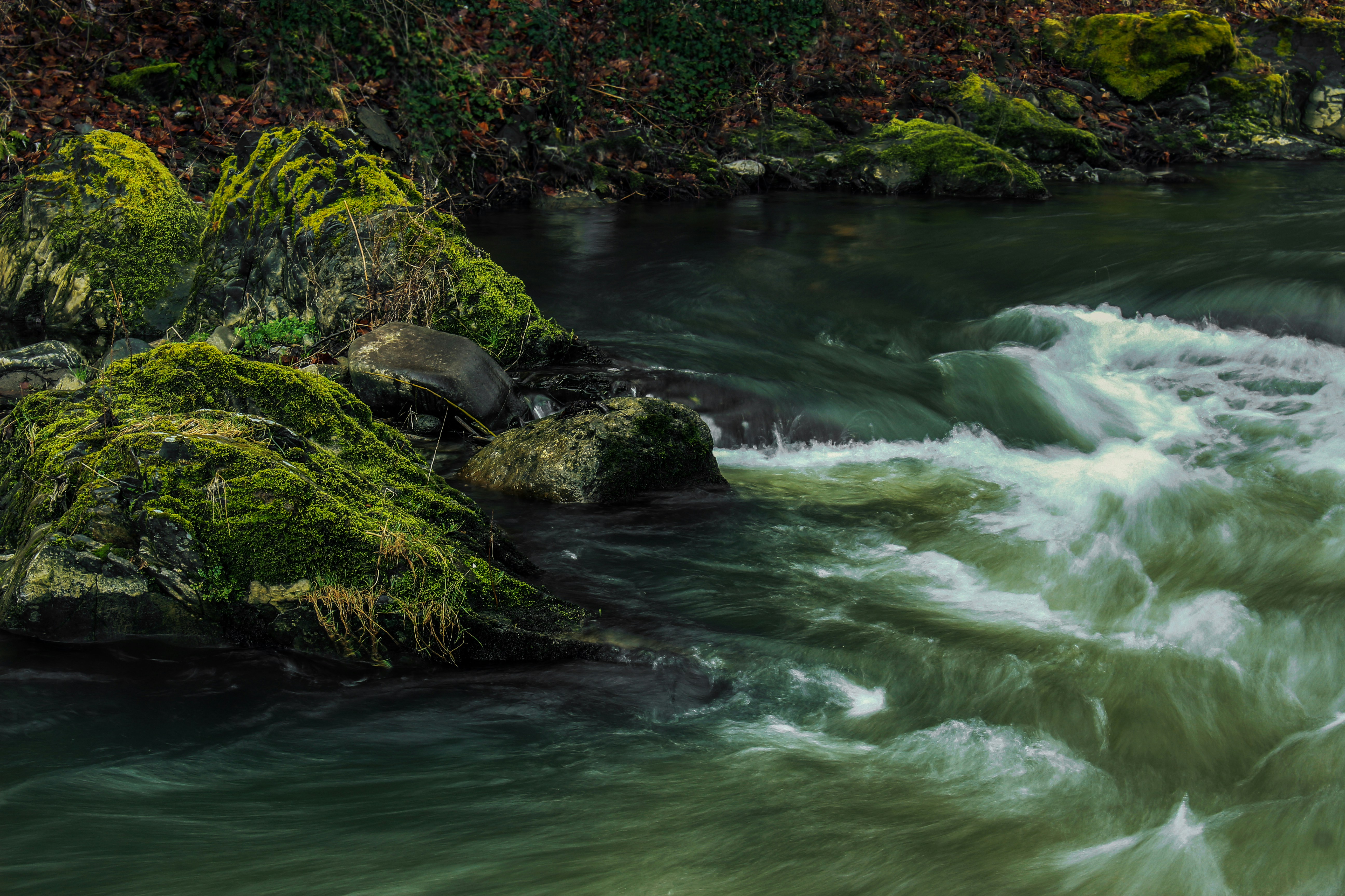 Photo by miloslopusina