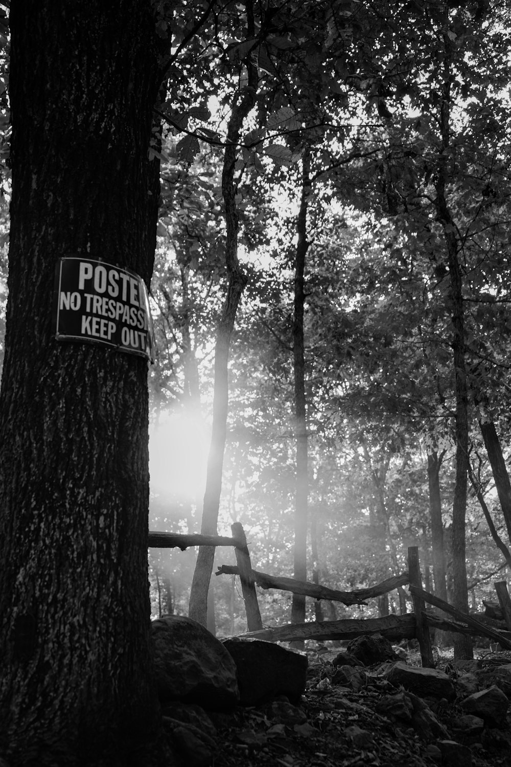 a sign on a tree