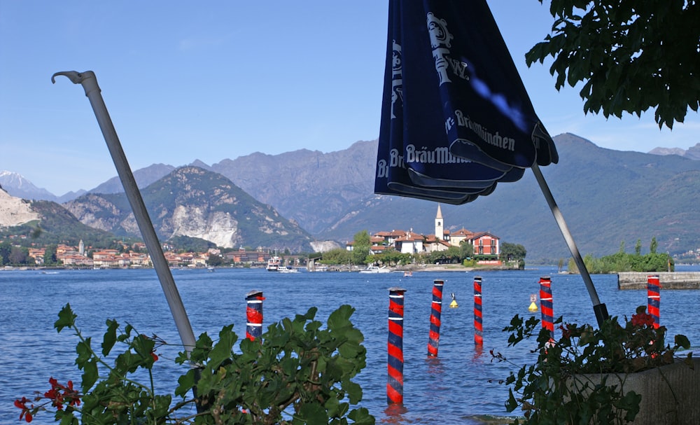 a flag on a pole in front of a body of water