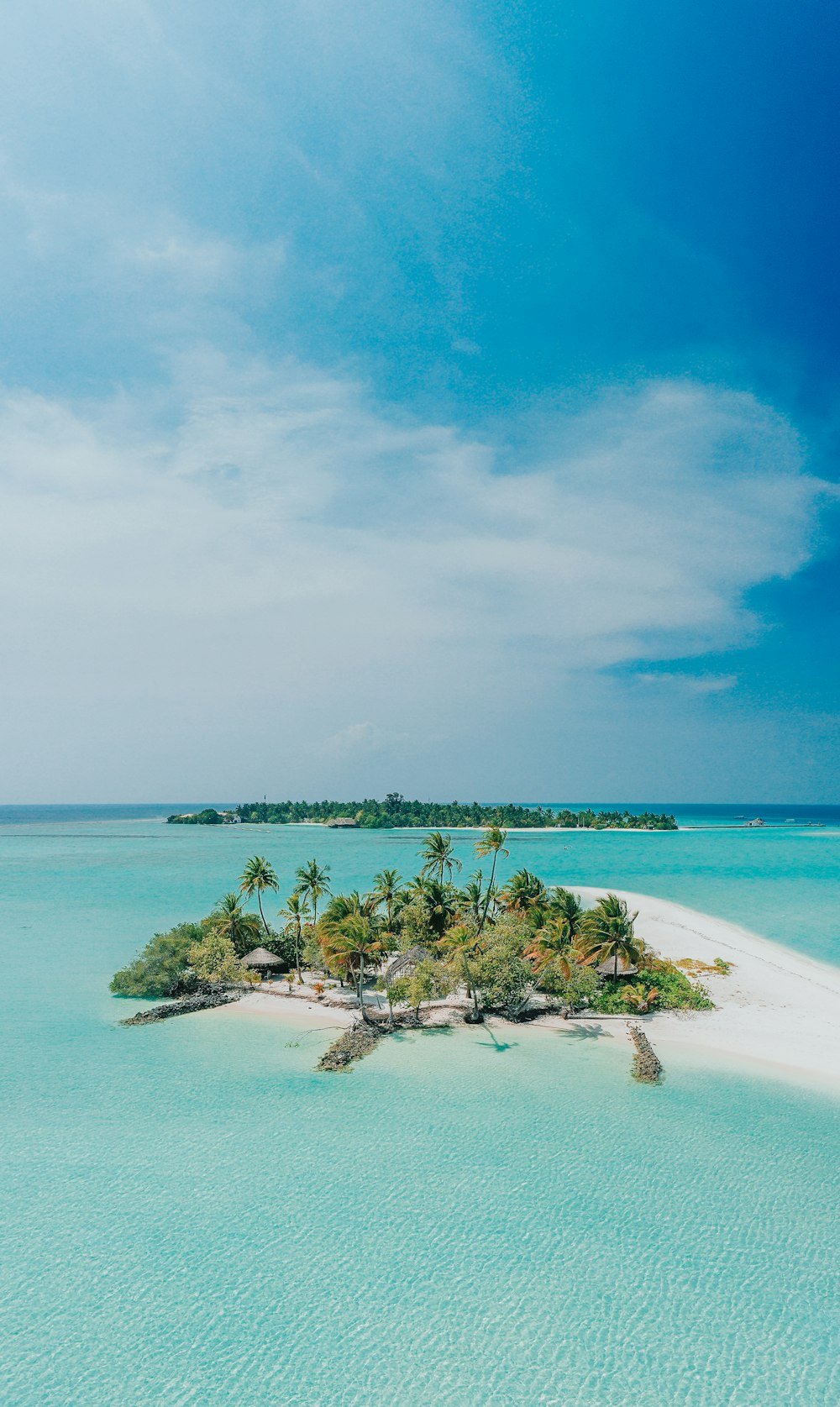 a beach with trees and water