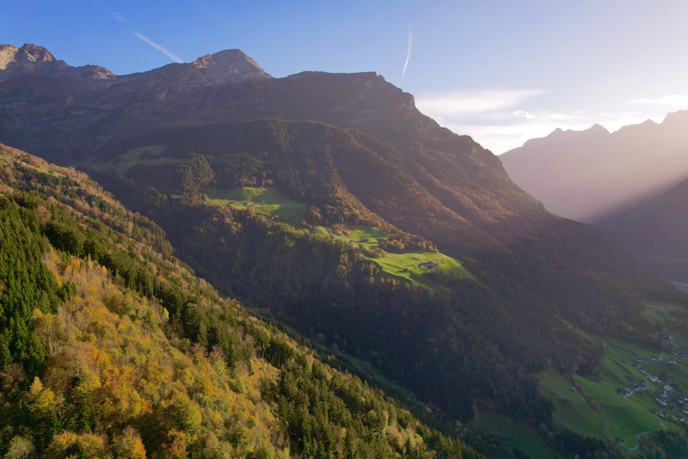 a valley with trees and mountains in the background